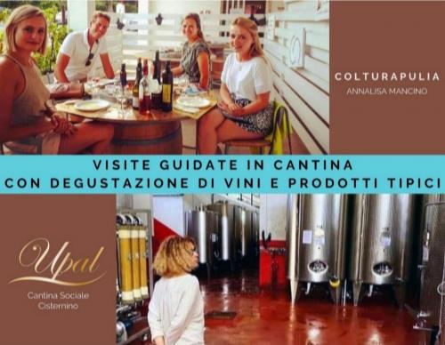 Tour in Cantina con degustazione di vini🍷