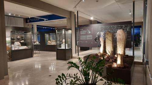 Visita al Museo e al Parco Archeologico di Egnazia
