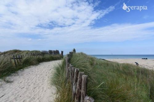 Tra le dune e le onde