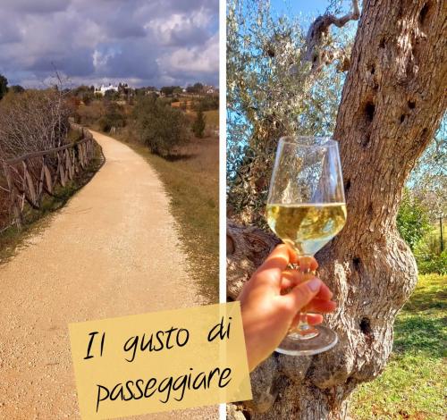 Il gusto di passeggiare...🍷
