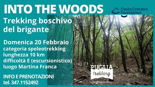 Into The Woods  Trekking Boschivo del Brigante