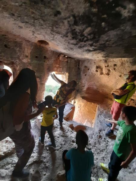 Cave di tufo e Pini d' Aleppo