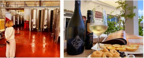 Tour in Cantina con Bollicine...🥂