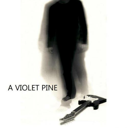 A VIOLET PINE in concerto