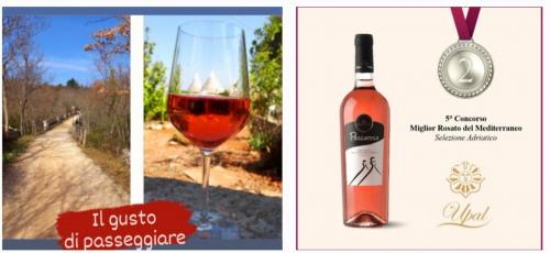 Il gusto di passeggiare...🍷