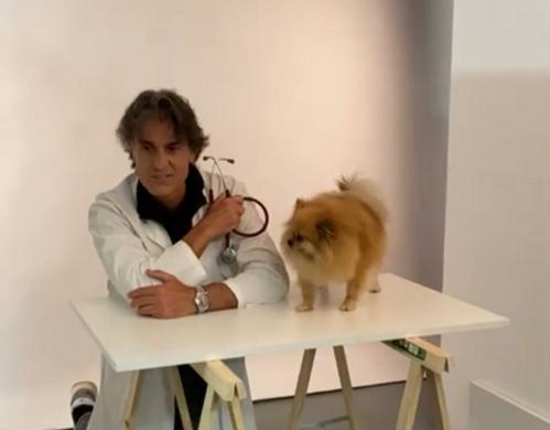 A Quattrozampeinfiera la campagna di “riciclo e riuso”