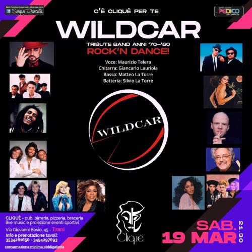 Wildcar 70 80 “rock’n dance" live a Trani