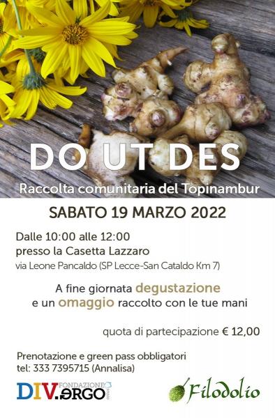 DO UT DES: Raccolta comunitaria del Topinambur