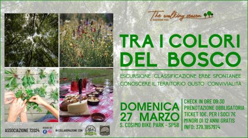 Tra i Colori del Bosco