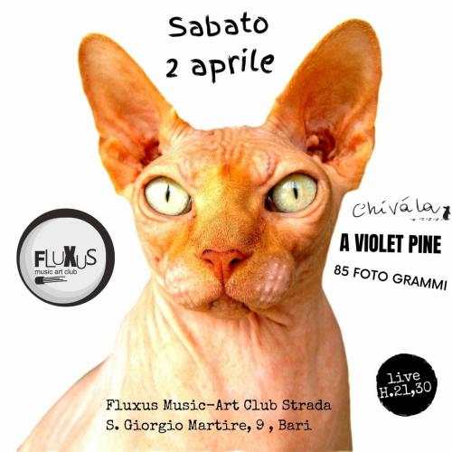 Chivàla/A Violet Pine/85 Fotogrammi Live at FLUXUS CLUB