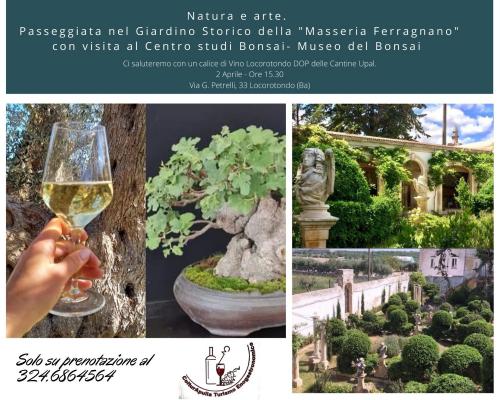 Natura e Arte