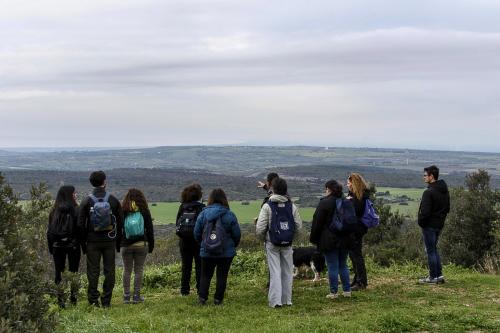 Pasquetta tra lecci, macchia mediterranea e orchidee selvatiche