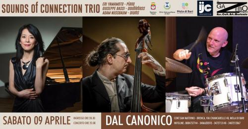 Sounds Of Connection Trio
