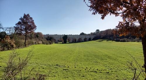 Tra Ponti e Muretti a Secco...la Valle d'Itria!