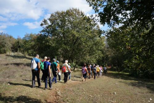 StoryTrekking nel Bosco