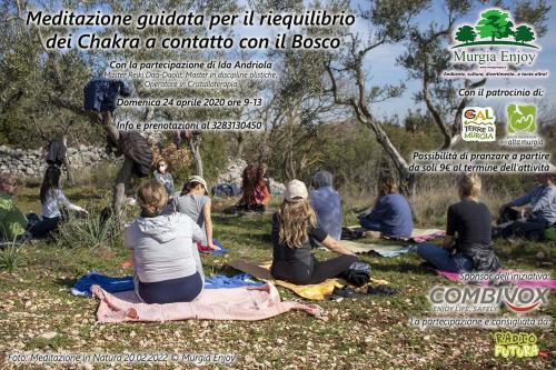 Meditazione guidata per il riequilibrio dei Chakra a contatto con il Bosco
