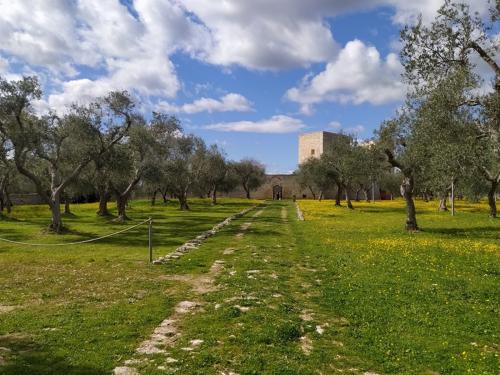 Apertura straordinaria per la Festa della Liberazione