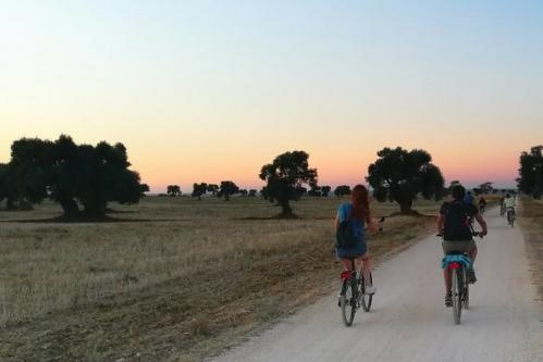 Al tramonto in bici nel Parco delle Dune Costiere