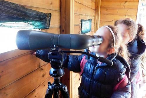 Birdwatching per bambini alla Salina Monaci di Manduria, tutti i sabati di maggio