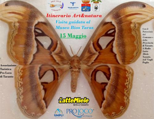 Visita guidata al Museo Bios Taras