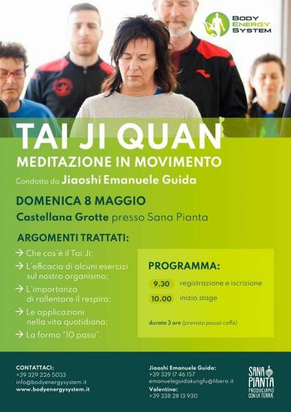 Stage di Tai ji Quan
