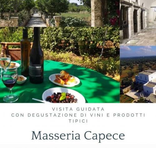 A spasso tra gli ulivi con...calice di vino🍷🌳
