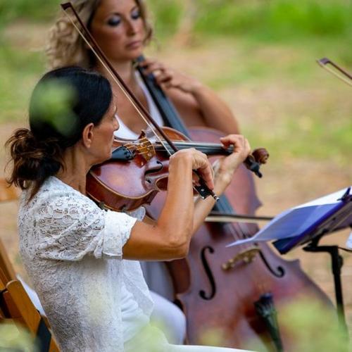 Concerto d'archi nel bosco