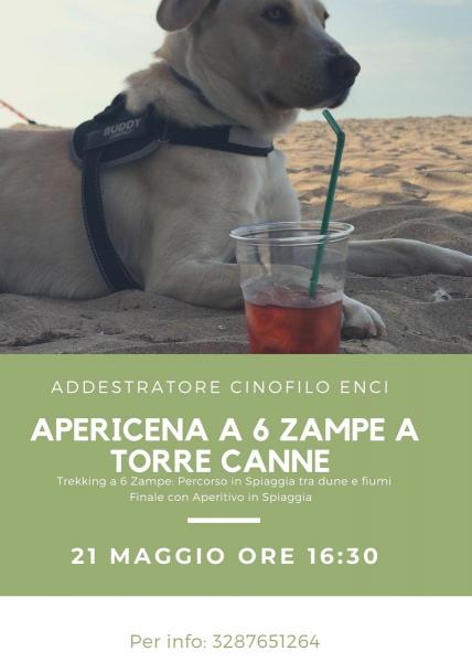 Apericena a 6 Zampe