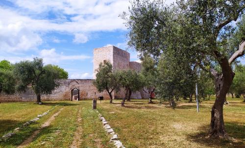 Scopri Balsignano -  architettura, natura, storia