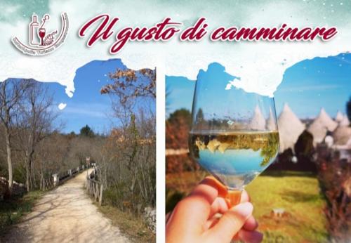 Il gusto di camminare tra ponti, ulivi, trulli e...un calice di vino🏃🏼‍♀️🏃🏻🌳🍷