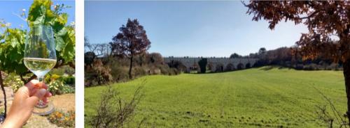 Il gusto di camminare tra ponti, muretti a secco e...un calice di bollicine!🏃🏼‍♀️🏃🏻🌳🥂