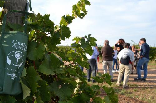 Cantine Aperte a Copertino