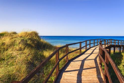 TUTELARE LA BIODIVERSITA’ DEL PARCO DELLE DUNE COSTIERE