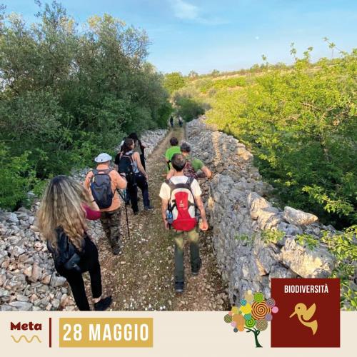 Escursione: biodiversità dei paesaggi