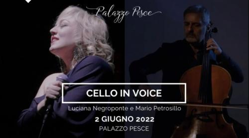 Cello in voice