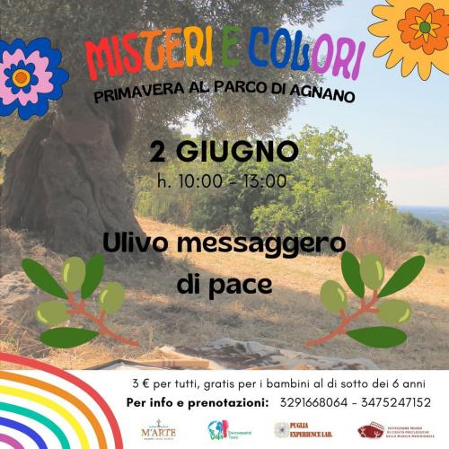 Misteri e Colori: Primavera al Parco Agnano - Ulivo messaggero di Pace