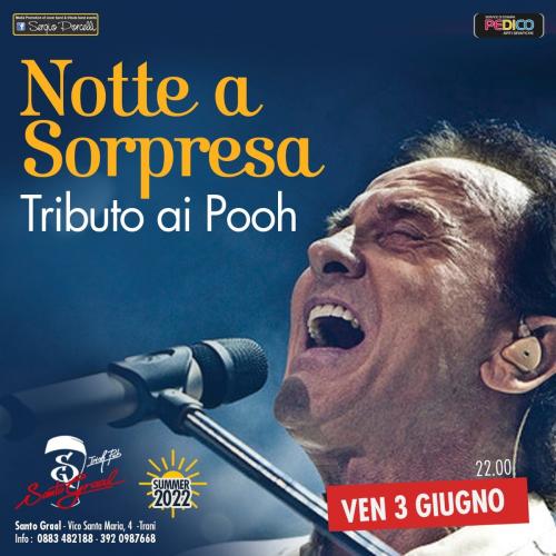 Notte a Sorpresa - Tributo ai Pooh a Trani