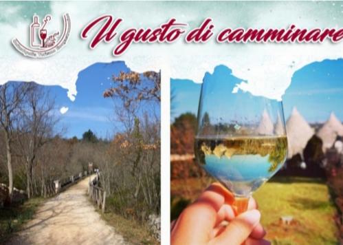 Il gusto di camminare tra ponti, muretti a secco, trulli e...un calice di vino🏃🏼‍♀️🏃🏻🌳🍷
