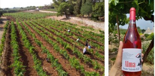 Degustazioni nel Vigneto🌳🍷