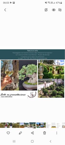 Passeggiata nel Giardino Storico con...calice di vino🌳🍷