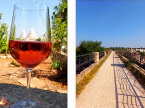 Camminare tra muretti a secco, ulivi, trulli e...un calice di vino🌳🍷