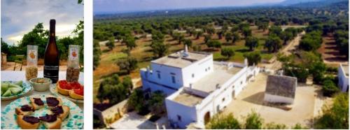Solstizio d'estate in...Masseria🌳🍷