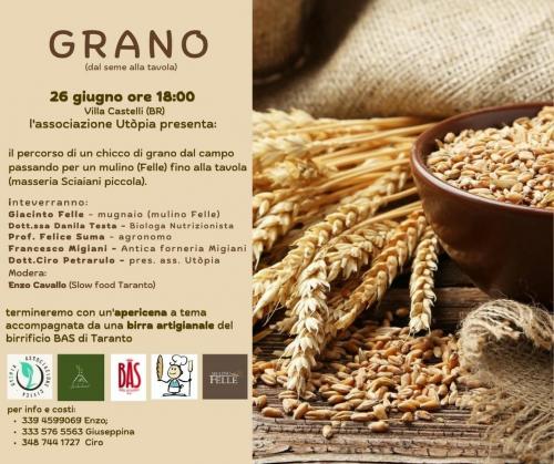 GRANO (dal seme alla tavola)