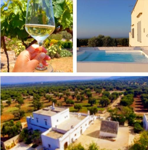 Aperitivo in Masseria 🌳🍷