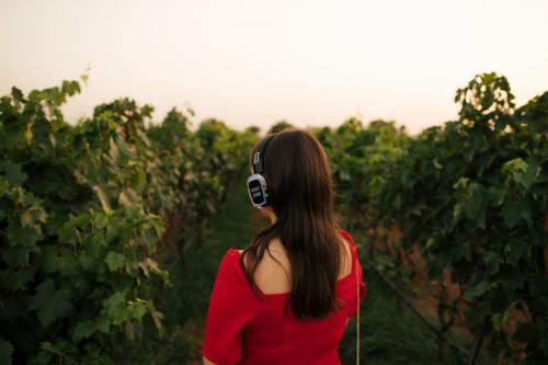 La notte di San Giovanni alle Cantine Garofano