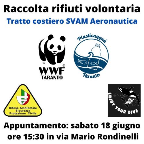Raccolta rifiuti volontaria