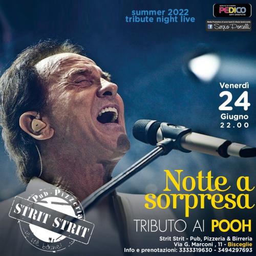 Notte a Sorpresa - Tributo ai Pooh a Bisceglie