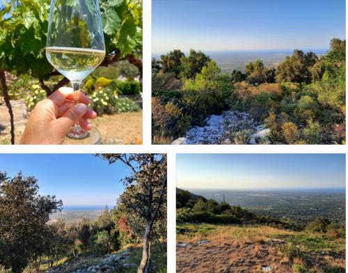 Il tramonto a Monte Pizzuto con...calice di vino🌳🍷