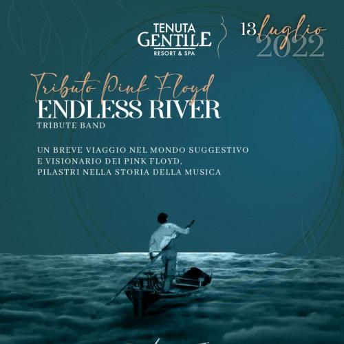 ENDLESS RIVER Pink Floyd Tribute Band