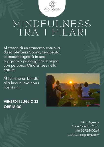 Mindfulness tra i filari.